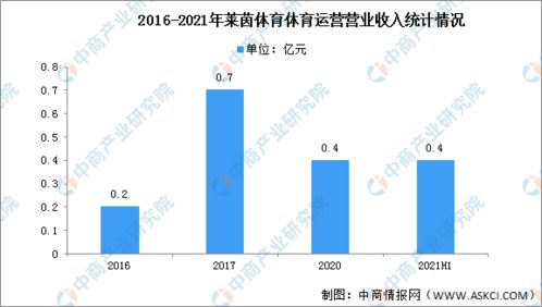 2022年中國冰雪產業行業市場前景及投資研究預測報告 簡版